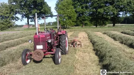 137019484251ab839b26bf4.webp