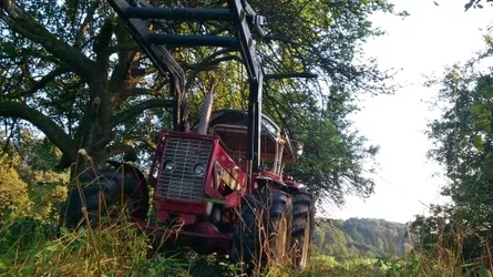 13478656595056cc3b68daf.webp