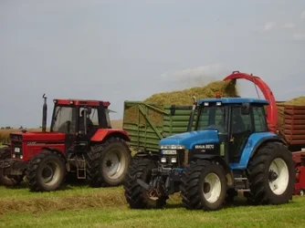 13296707274f412a470f330.webp 13296707274f412a470f330.webp
