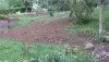 365639154323353.webp
