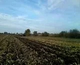 th_MOV00763.webp th_MOV00763.webp