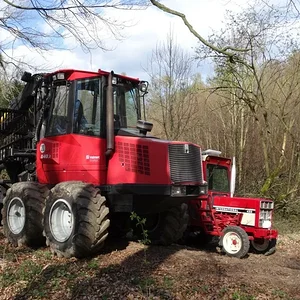 Matthias-IH353