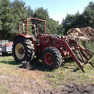 Thorben