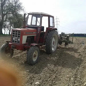 Maisanbau