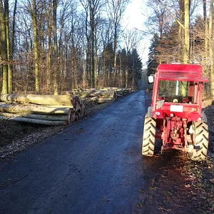 Matthias-IH353
