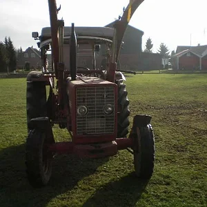 IHC 523