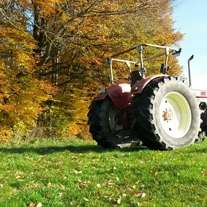 Herbst