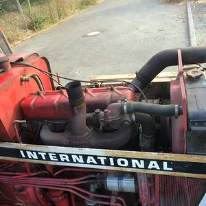 IHC 744