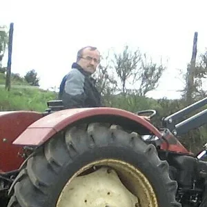 Martin p
