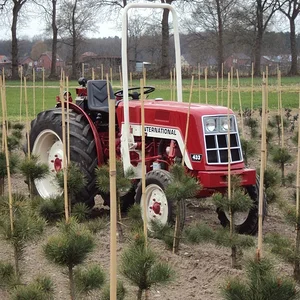 IHC 433V in Gartenbau