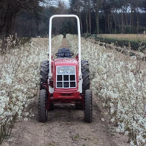 IHC 433V in Gartenbau
