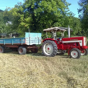 Stroh Saison 2013