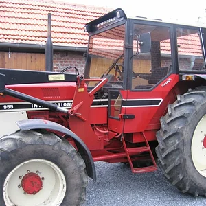 IHC 955