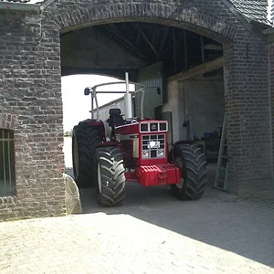 Ulli1246