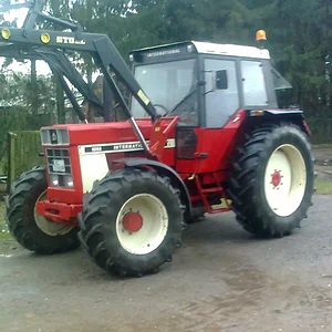 IHC 955