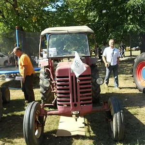 IHC in Kroatien (Nasice)