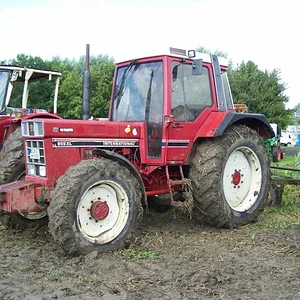Campen 2011