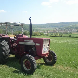 IHC 624 S