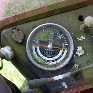 323