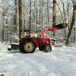 Waldcheck
