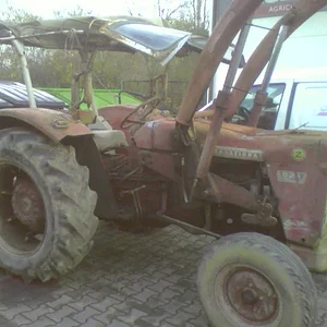 IHC 523