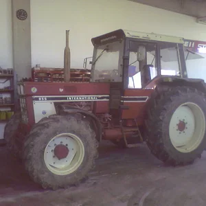 IHC 955