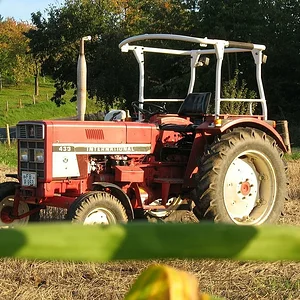 Aus dem Maisacker heraus...
