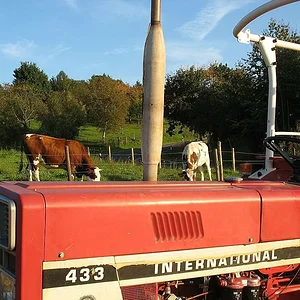 Die letzten Sonnenstrahlen aus