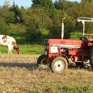 Schönes Wetter nochmal genutzt