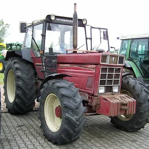 IHC 1255