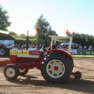 tt fitzen