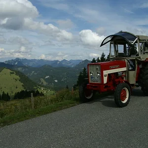 Schorsch