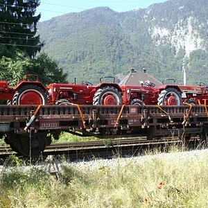 Schorsch