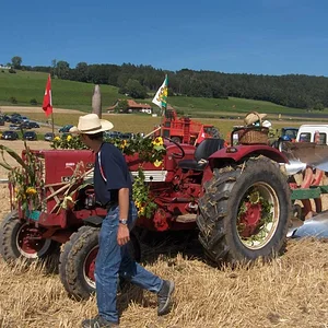 624Beni