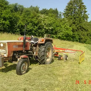 624 Beni