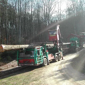 woodcutter