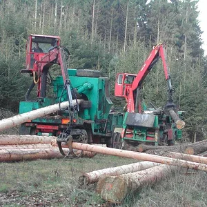 woodcutter