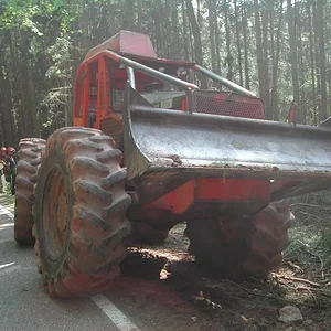 woodcutter