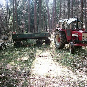 Falko