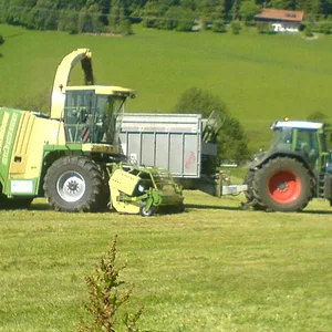 Häckseln 07