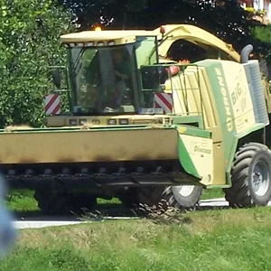 IHC 523