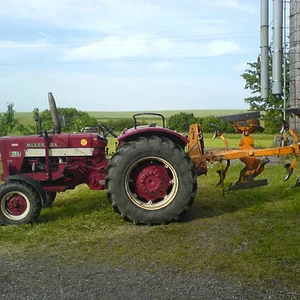 624Beni