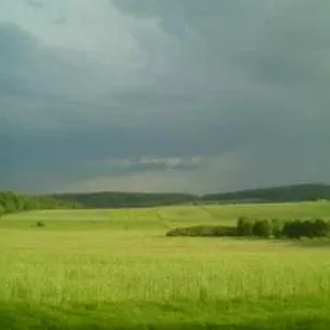 856