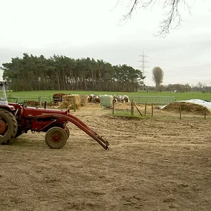 D432