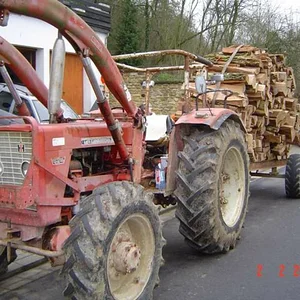 Holz