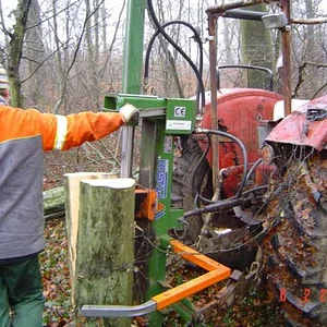 Holz