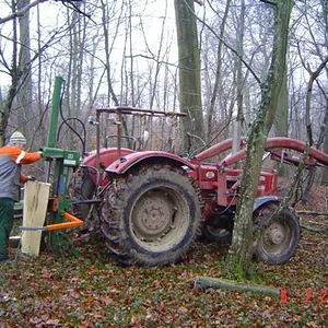wieder holz
