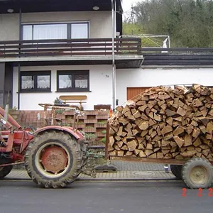gut Holz
