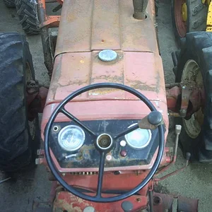 IHC 955