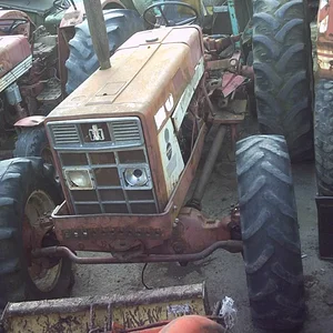 IHC 955